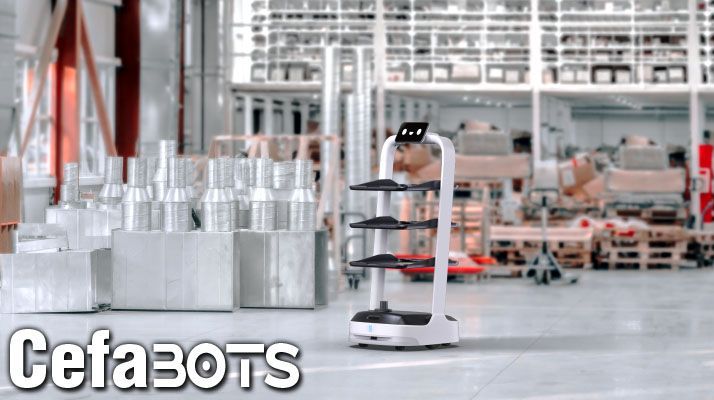 Robot reparto y logística