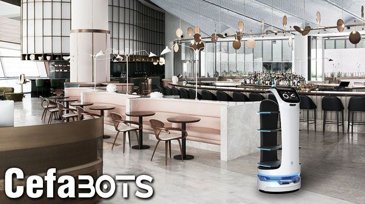 Robot camarero
