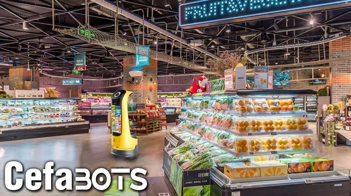 Robot para promoción y bienvenida.